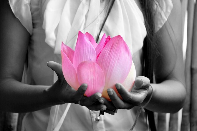 Lotus Silk Farm: Discover Learn and Experiment the Lotus Flower - Why the lotus makes a good Siem Reap workshop
