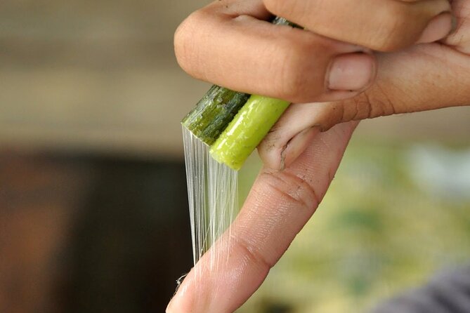 Lotus Silk Farm: Discover Learn and Experiment the Lotus Flower - Why the artisan side adds value