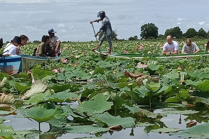 Lotus Silk Farm: Discover Learn and Experiment the Lotus Flower - Six workshops, from stalk fibers to handmade paper