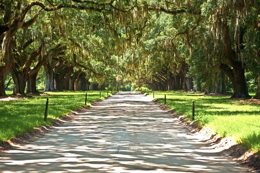 Louisiana: Laura, Oak Alley, or Whitney Plantation Tours - Key points before you book