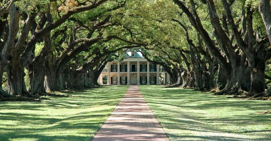 Louisiana: Laura, Oak Alley, or Whitney Plantation Tours - Whitney Plantation and the voices of enslaved people