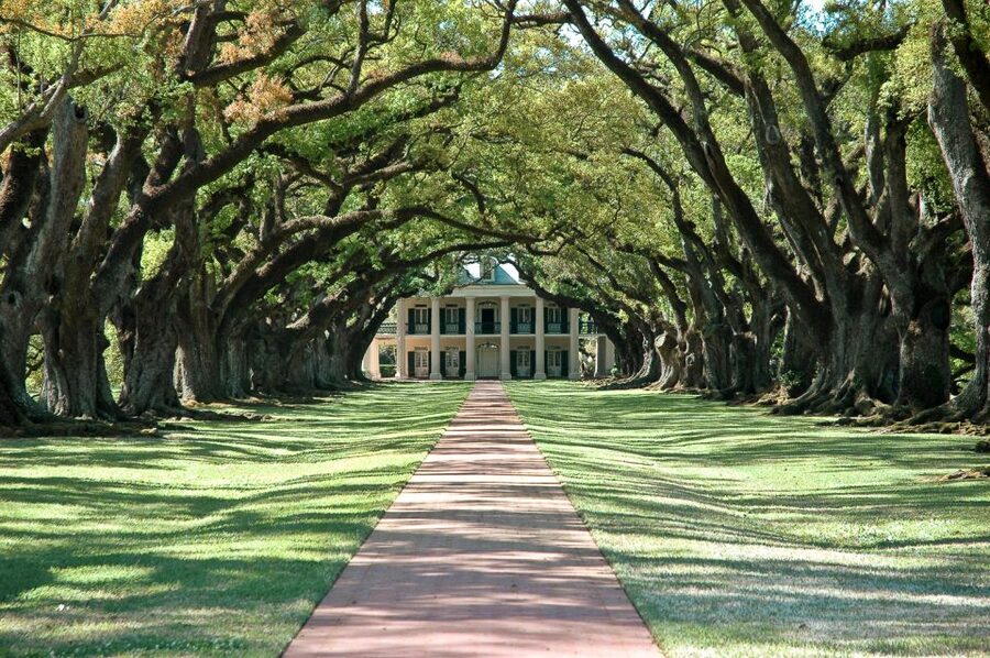 Louisiana: Laura, Oak Alley, or Whitney Plantation Tours - Laura Creole Plantation and the world of Compair Lapin