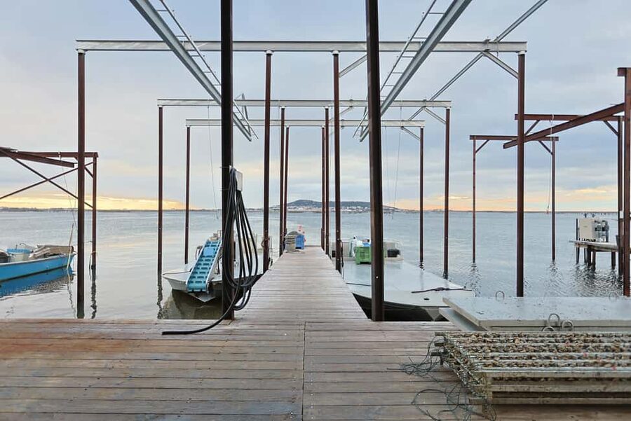 Loupian: Tour guide of our oyster farm and tasting - Why the family-business setting matters