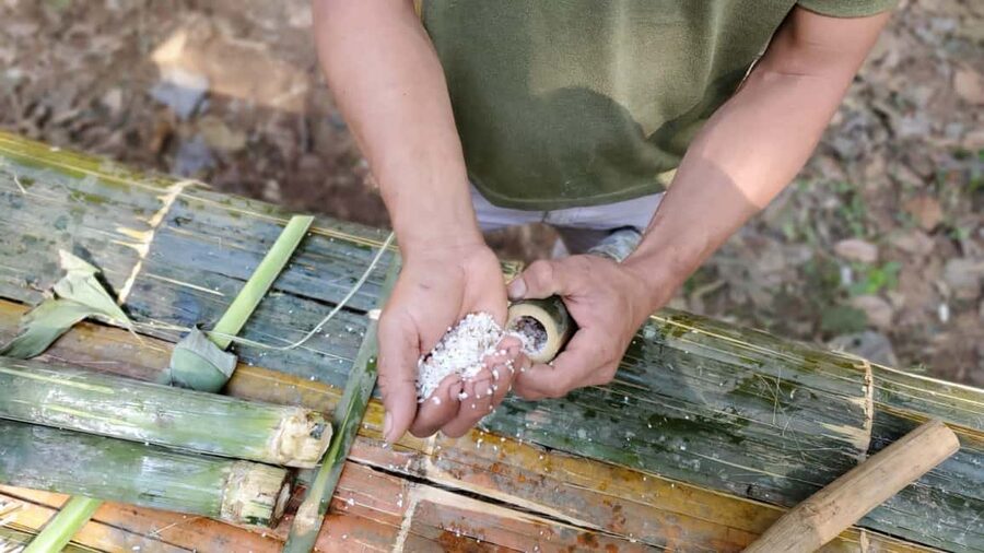 Luang Prabang: Bamboo Forest Cooking-class & Farm Visit - Practical preparation for the forest