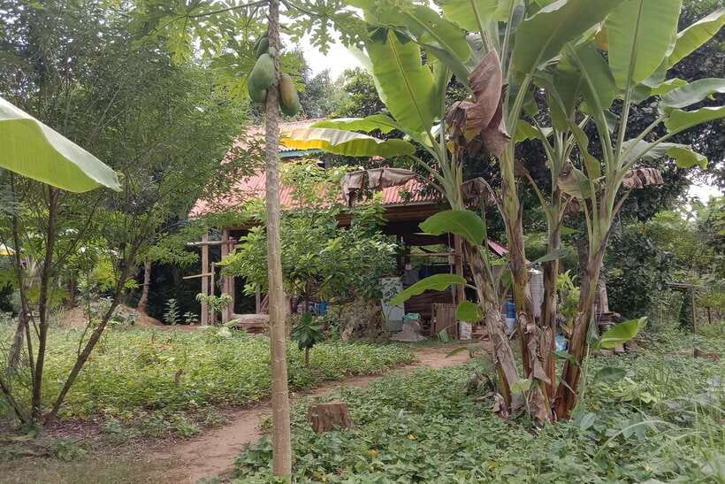 Luang Prabang: Organic Farm Experience & Hike to Kuang si - Lunch beside the Lao river