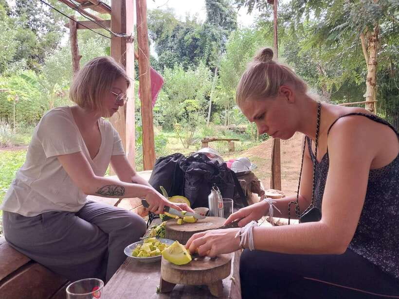 Luang Prabang: Organic Farm Experience & Hike to Kuang si - Swimming beneath Kuang Si’s three tiers