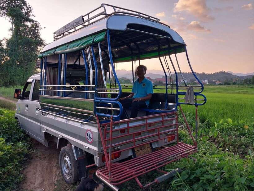 Luang Prabang: Organic Farm Experience & Hike to Kuang si - Meeting bears rescued from the trade