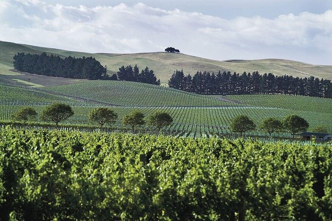 Lyttelton Cruise Excursions: Christchurch Sightseeing with Sheep Farm - Leaving Lyttelton for Christchurch