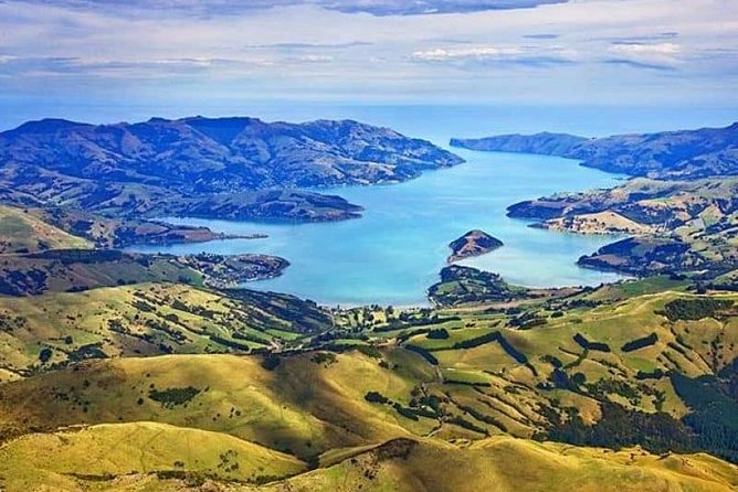 Lyttelton Cruise Excursions: Christchurch Sightseeing with Sheep Farm - Riverside Market and a practical lunch pause