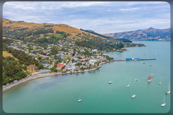 Lyttelton Cruise Excursions: Christchurch Sightseeing with Sheep Farm - Toby Hill Farm: sheep dogs, shearing, and wool