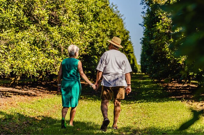 Macadamias Australia Orchard Tour in Bundaberg - Key things to know before you go