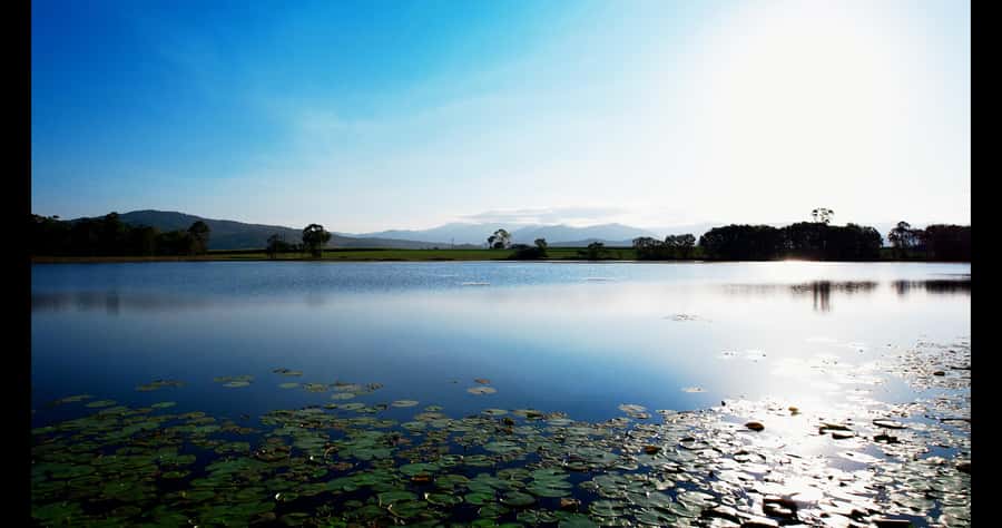 Mackay: 3 Hour Sugarcane Farm Tour - Key points at a glance