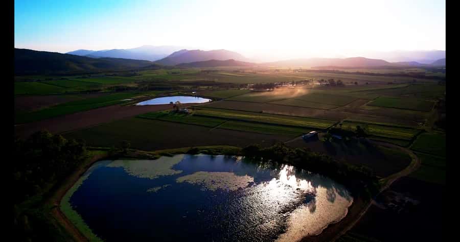 Mackay: 3 Hour Sugarcane Farm Tour - Morning tea with a cane farming connection