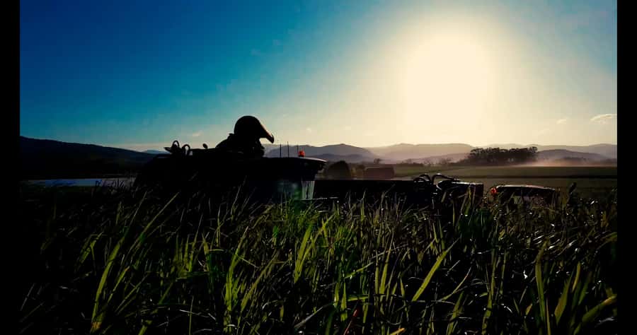 Mackay: 3 Hour Sugarcane Farm Tour - Practical details before you book