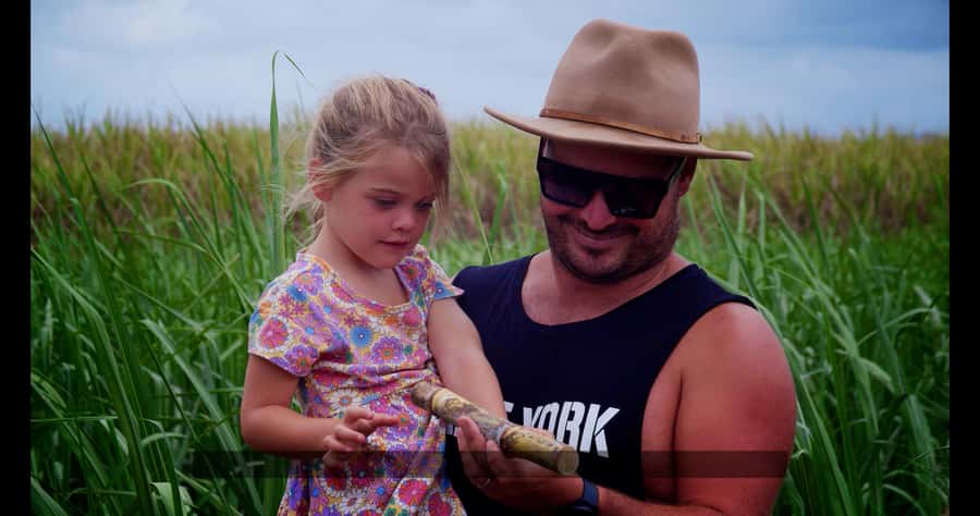 Mackay: 3 Hour Sugarcane Farm Tour - Seeing sugarcane from stalk to harvest
