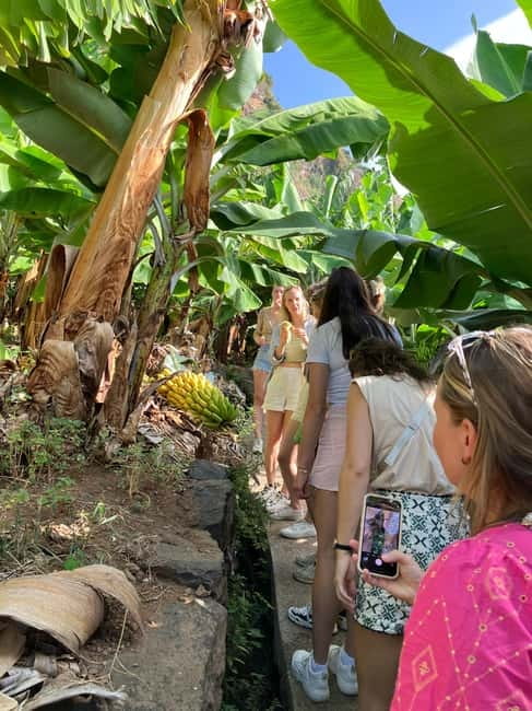 Madeira: Banana Plantation Guided Tour with Tasting - Why banana country tells Madeira’s story
