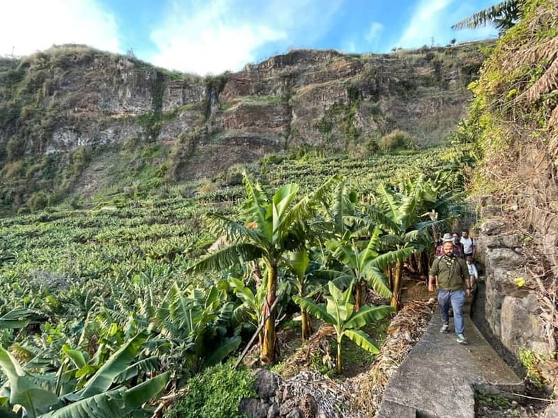 Madeira: Banana Plantation Guided Tour with Tasting - How the timing works