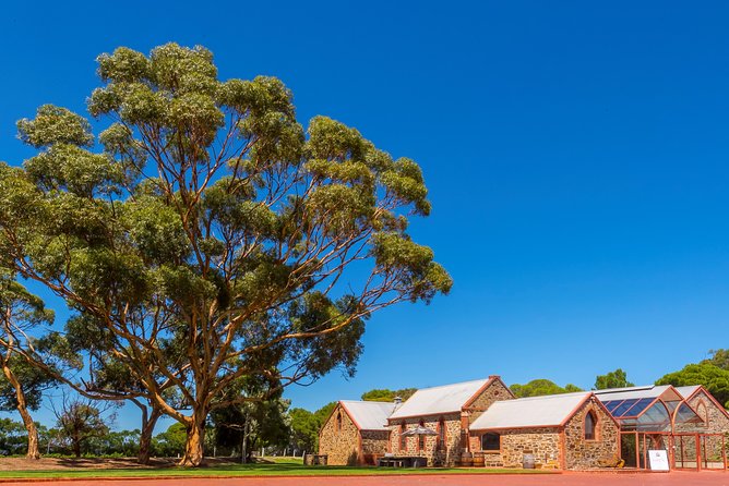 Maggie Beer's Farm Cooking School and Seasonal Lunch - Seasonal lunch and the value of eating what you made