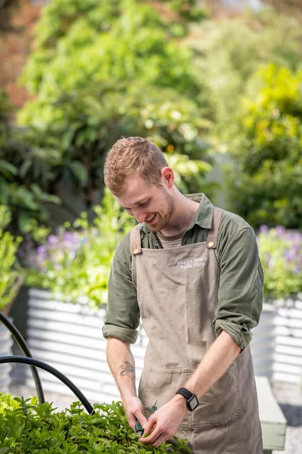 Maggie Beer's Farm Hands-on Cooking School and Lunch - Meeting the people behind the farm