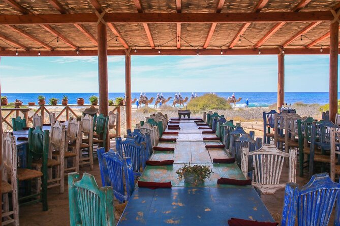Magical Todos Santos Tour, Camel Ranch, Lunch and Tequila - Who should book this outing?