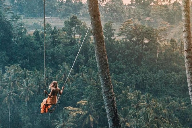Magical Ubud Rice Terrace Tour (Private & All-Inclusive) - Tegalalang Rice Terrace delivers the famous view