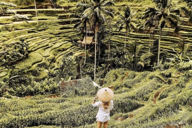 Magical Ubud Rice Terrace Tour (Private & All-Inclusive) - What the private guide adds to a long day