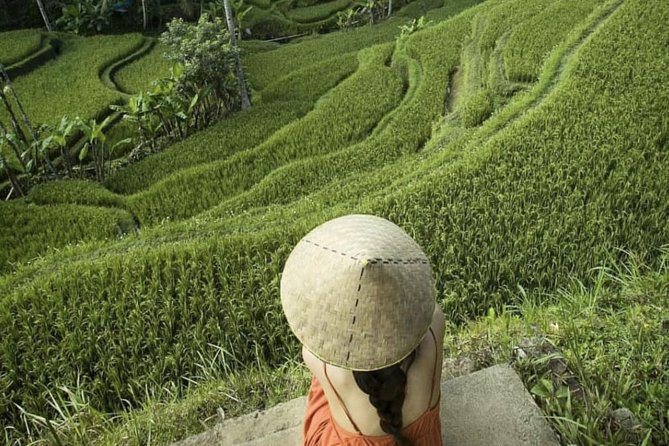 Magical Ubud Rice Terrace Tour (Private & All-Inclusive) - Is $107 per person good value?