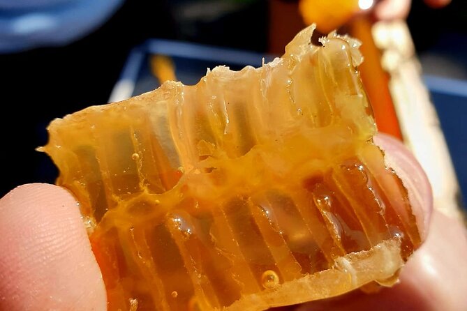 Magical World of Beekeeping on São Miguel Azores Private Tour - Key points about the São Miguel bee farm