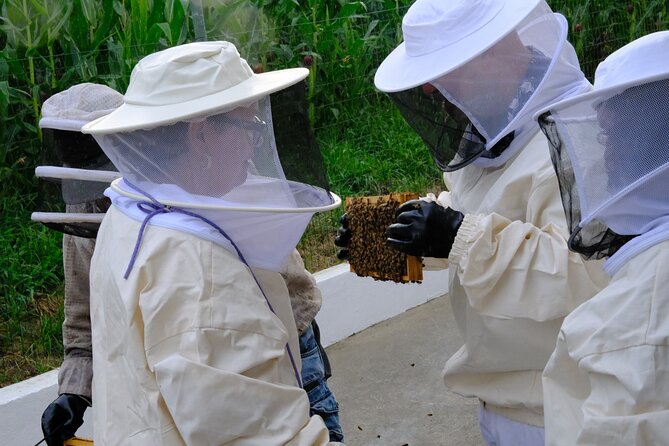 Magical World of Beekeeping on São Miguel Azores Private Tour - Arriving at EN1-1A 19 for the 4 pm visit