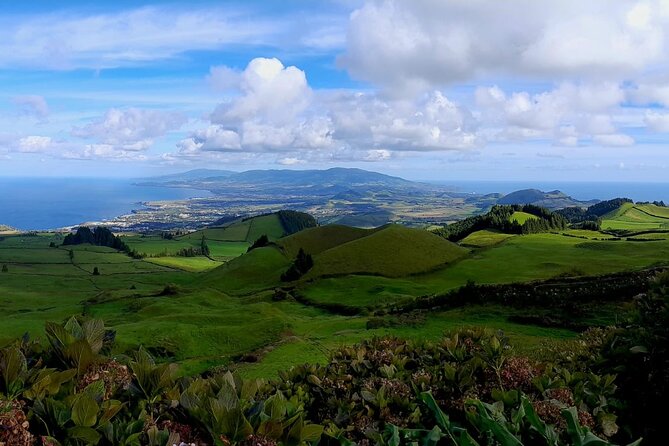 Magical World of Beekeeping on São Miguel Azores Private Tour - Learning how a bee colony works