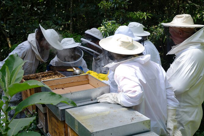 Magical World of Beekeeping on São Miguel Azores Private Tour - What the $42.02 price gives you