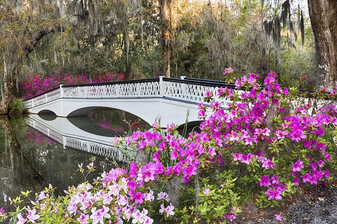 Magnolia Plantation Admission & Tour with Transportation from Charleston - A four-part visit to Magnolia Plantation