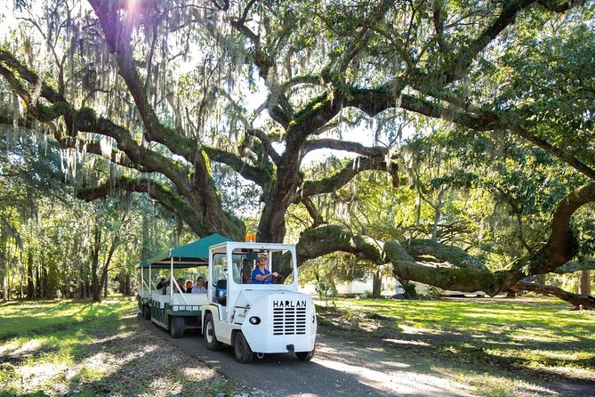 Magnolia Plantation Day Tour with Transportation - Why the grounds matter more than the mansion