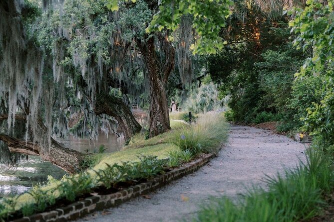 Magnolia Plantation Day Tour with Transportation - The Wildlife Center and rescued animals