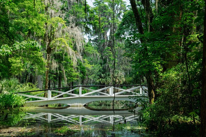 Magnolia Plantation Tour with transportation PLUS City Bus Tour - Why this pairing works for a first Charleston visit