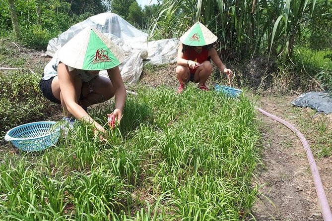 Market to Farm to Table Cooking Class in saigon - Pickup, group size, and what to plan for