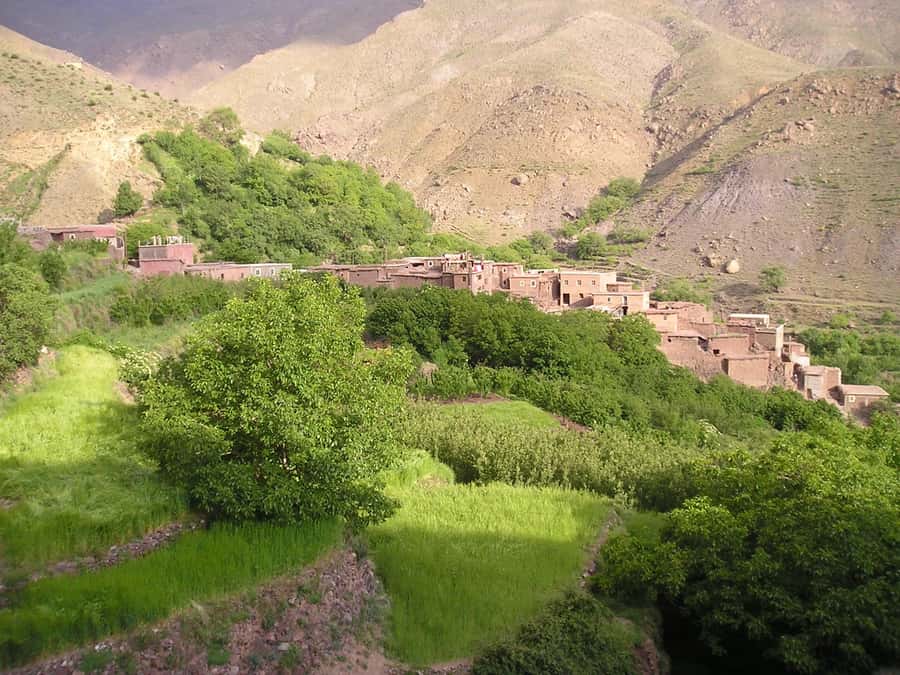 Marrakech: Anima Garden, Saffron Farm and Ourika Valley Trip - Lunch beside the Ourika River in Setti Fatma