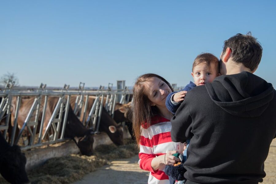 Martina Franca: E-bike farm tour & cheese tasting - Meeting Murgese horses and Apulian black pigs