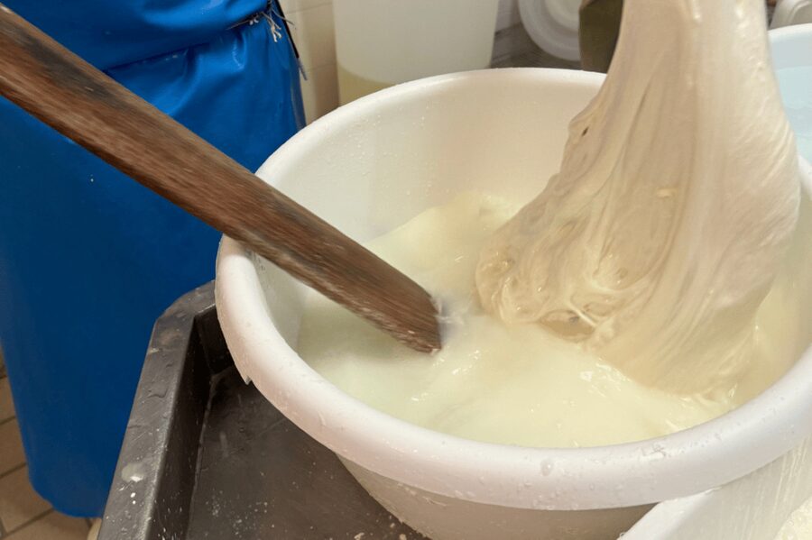 Martina Franca: Mozzarella and Pasta Workshop with Farm Tour - Timing, transport, and practical comfort