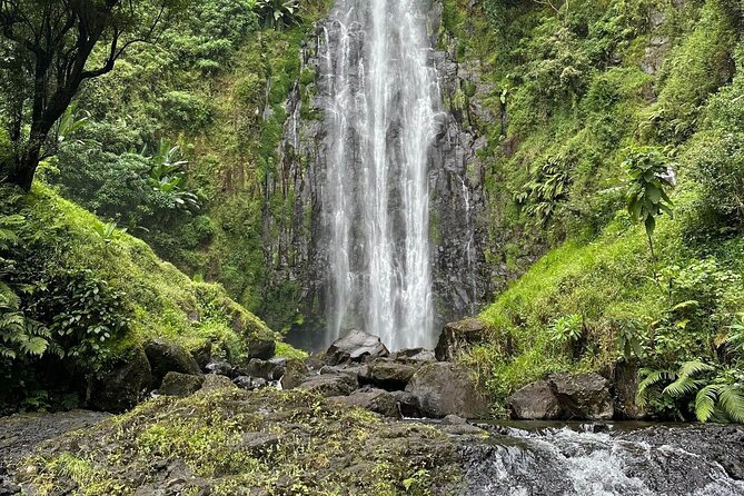 Materuni Waterfall and Coffee Plantation Half Day Tour - Why this Materuni tour feels different