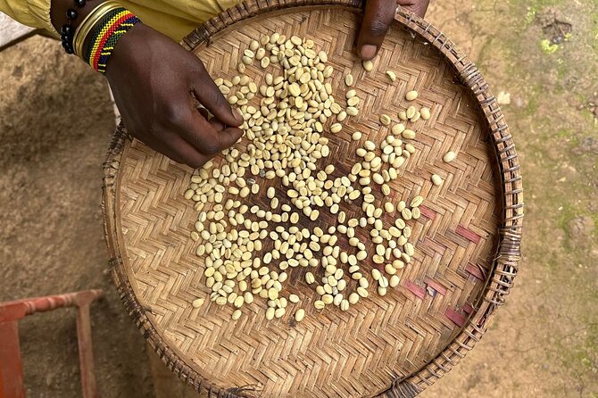 Materuni Waterfall and Coffee Plantation Half Day Tour - Coffee, bananas, and Chagga village life