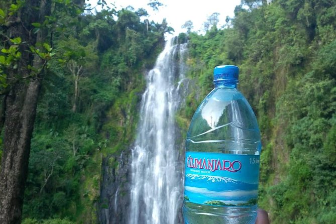 Materuni Waterfalls & Coffee Farm Tour - Key points at a glance