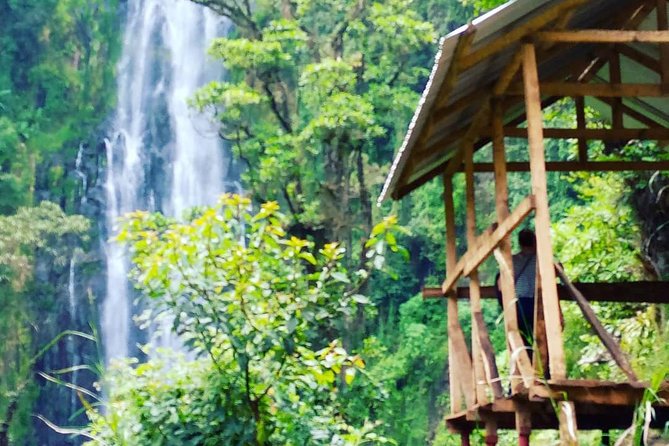 Materuni Waterfalls & Coffee Farm Tour - Swimming beneath the waterfall