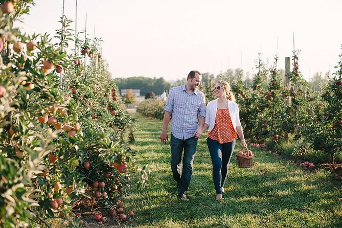 Mattituck Bike Wine Country and Fruit Orchard Tour - Farm stand shopping, pies, jam, and cider