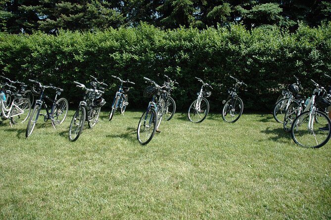 Mattituck Bike Wine Country and Fruit Orchard Tour - Safety, comfort, and practical planning