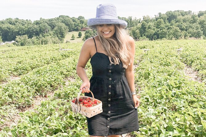 Mattituck Bike Wine Country and Fruit Orchard Tour - Photos, refreshments, and the small extras