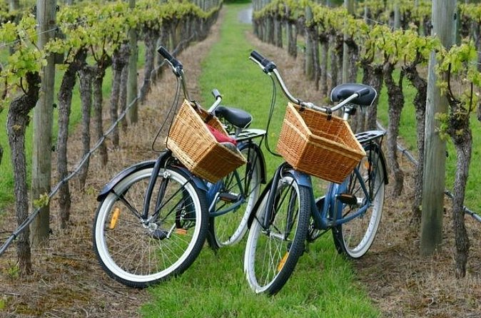 Mattituck New York Guided Farm and Wine Country Bike Tour - Two vineyard stops with wine at your own cost