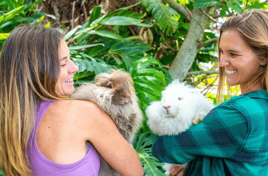 Maui: Alpaca Farm Visit with Hands-On Activities - The practical plan for your visit