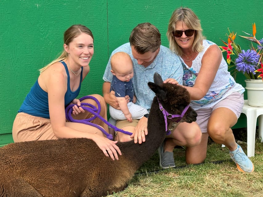 Maui: Alpaca Farm Visit with Hands-On Activities - Booking flexibility and final decision