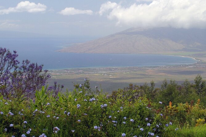 Maui Farm Distillery and local craft experience Full-Day Tour - Ocean Vodka brings the biggest stop